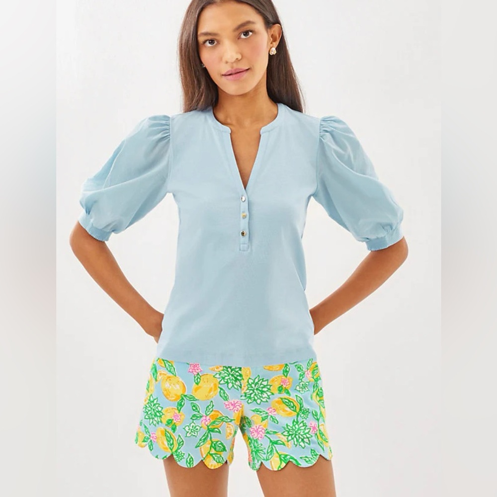 NWT large Ronson Knit Top - Bluette